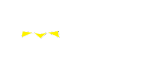 Diamond Multicultural Economic Co-operative Incorporated logo